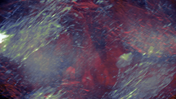 Phantom Limbs Still