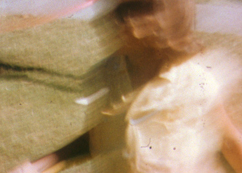Ektacy by Caryn Cline